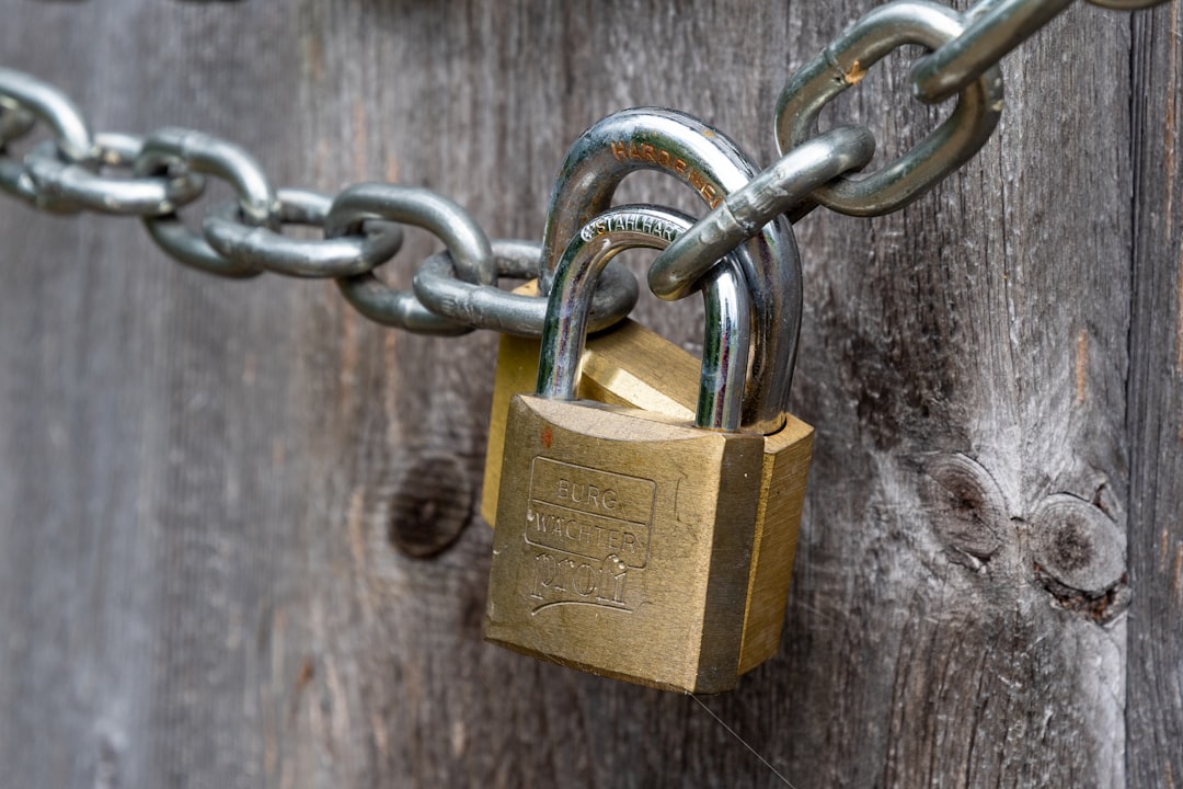 brown padlock on brown wooden fence - Photo by Georg Bommeli on Unsplash